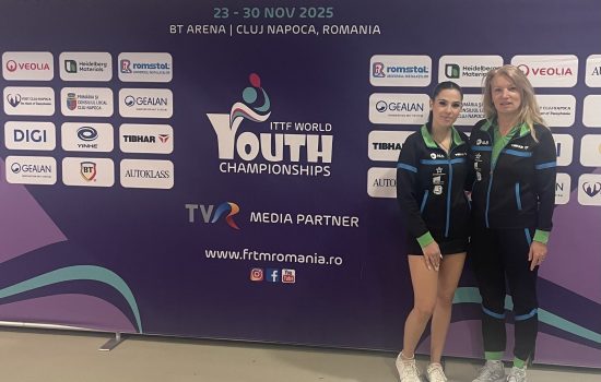 Sara Tokić Vesna Ojsteršek MSP